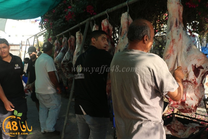 lod8om ada73y (77).JPG